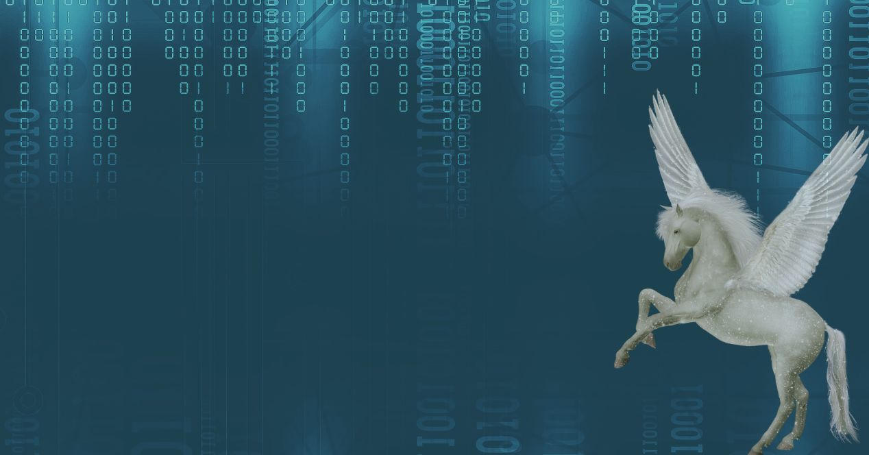 Pegasus Spyware