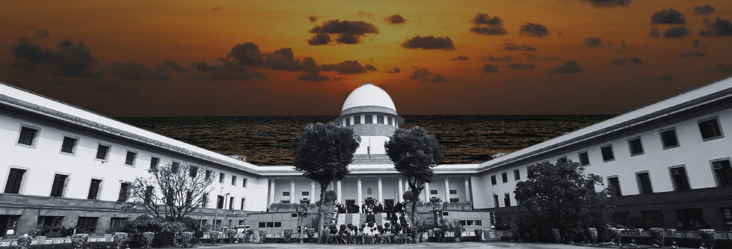 2025 Summer Session Review of the Supreme Court of India